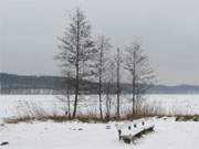 Korswandt im Hinterland des Ostseebades Ahlbeck: Das Ufer des Wolgastsees.