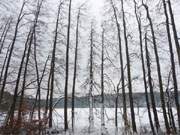 Am Fu des Zirowberges liegt der Wolgastsee im Hinterland des Kaiserbades Ahlbeck.