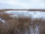 Die Tage des Eises sind gezhlt: Das Achterwasser zwischen Zempin und Zinnowitz.