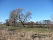 Karge Winterlandschaft: Grssow im Hinterland der Insel Usedom.