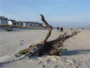 Strandwanderung: Der Ostseestrand der Usedomer Kaiserbder.