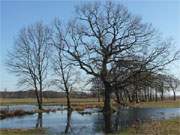 Wiesenland am Achterwasser: Zwischen den Usedomer Seebdern ckeritz und Loddin.