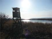 Ein alter Jagdstand steht schief vor einem Schilftmpel am Achterwasser.