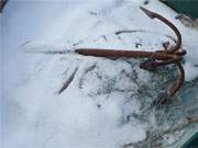 Fischkiste mit Schnee: Warthe auf der Usedomer Halbinsel Lieper Winkel.