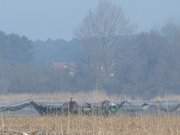 Das Hinterland der Insel Usedom: Fischerboot auf dem Achterwasser in der Nhe von Ltow.