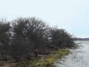 Usedomer Hinterland: Landschaft am Nepperminer See zwischen Pudagla und Neppermin.