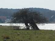 Im Hinterland der Ostseeinsel Usedom: Neppermin am gleichnamigen See.