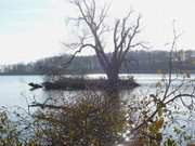 Im schnsten Gegenlicht: Der Klpinsee im Usedomer Seebad Loddin.