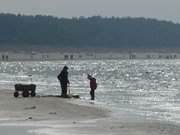 Auf dem Ostseestrand: Zwischen den Usedomer Seebdern Zempin und Zinnowitz.