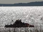 Tretbootfahren auf dem Achterwasser: Mai im Hinterland der Insel Usedom.