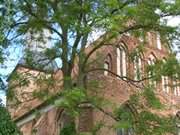 Gotischer Giebel: Die Krösliner Kirche nahe der bekannten Marina am Peenestrom.