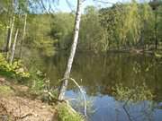 Auf dem Weg ins Zerninmoor: Der kleine Waldsee "Schwarzes Herz".