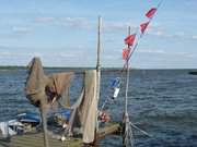 Fischereigert am Hafen von Kamminke am Oderhaff.