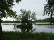 Durchblick auf die Schwaneninsel: Landschaftspanorama am Klpinsee.