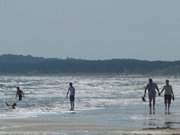 Ostseestrand: Trotz khlen Wetters wagen sich manche an und in das Wasser.