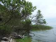 Am Achterwasser zu Fen des Loddiner Hftberges.