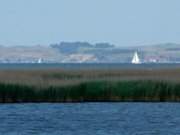 Die Insel Rgen zum Greifen nahe: Blick von der Halbinsel Struck.