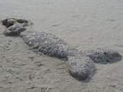 Seejungfrau im Sand: Sandskulptur im Ostseebad Trassenheide.