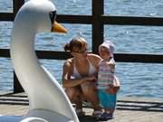 "Groer Schwan": Mutter und Kind auf dem Steg im Klpinsee.