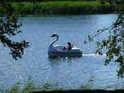 Von den Steinbock-Ferienwohnungen schnell zu erreichen: Der Klpinsee.