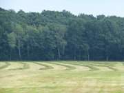 Sptsommer an der Ostseekste: Heumahd im Hinterland der Insel Usedom.