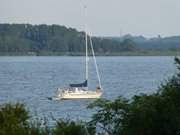 Wassersportgebiet Achterwasser: Segelboot am Loddiner Hft auf Usedom.