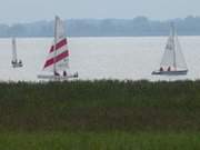 Wassersport auf der Insel Usedom: Segelboote auf dem Achterwasser.