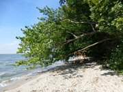 Haffland der Insel Usedom: Sandstrand zwischen Kamminke und Garz.