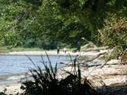 Strandwanderung: Sandstrand im Haffland der Insel Usedom.