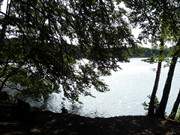 Blick durch den Wald: Der Wolgastsee im Hinterland des Ostseebades Ahlbeck.