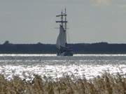 "Weie Dne": Segelschiff auf dem Achterwasser.