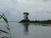 Sandstrand am Achterwasser: Mwenort auf der Halbinsel Gnitz.