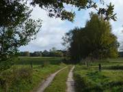 Feldweg: Wiesenland auf der Halbinsel Lieper Winkel.