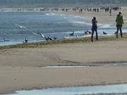 Zwischen Ahlbeck und Swinemnde: Strandwanderung im Frhherbst.