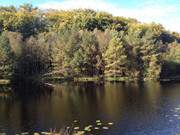 Zwischen den Seebdern Bansin und ckeritz: Der Mmmelkensee.