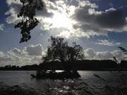 Schattenriss: Die kleine Schwaneninsel im Klpinsee.