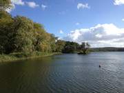 Zwischen Klpinsee und Stubbenfelde: Herbst im Seebad Loddin.