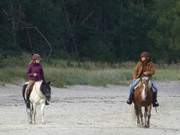 Mit dem eigenen Pferd auf den Ostseestrand: Aktivurlaub auf Usedom.