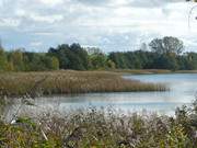 Kleiner Krebssee: Landschaft in der "Usedomer Schweiz".