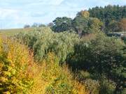 Beeindruckende Farben im Hinterland der Ostseeinsel.