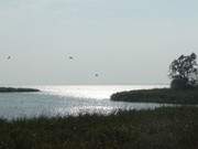 Herbsturlaub am Meer: Das Achterwasser im Sonnenschein.