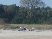 Die Oktobersonne am Ostseestrand genieen: Seebad Ahlbeck.