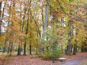 Unter buntem Bltterdach: Kurpark im Ostseebad Heringsdorf.