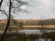 Am Zirowberg liegt der Wolgastsee im Hinterland des Ostseebades Ahlbeck.