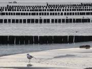 Usedom-Urlaub im Herbst: Ostseestrand am Langen Berg.