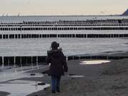 Wanderung zwischen ckeritz und Bansin: Kind auf dem Ostseestrand.