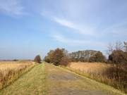 Wunderbare Farben: Herbsturlaub auf der Insel Usedom.