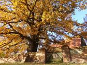 Usedomer Hinterland: Dorfkirche von Mellenthin.