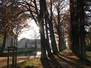 Herbst auf der Insel Usedom: Eichenallee am Wasserschloss Mellenthin.