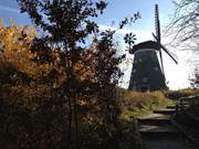 Windmhle: Hinauf auf den Mhlenberg bei Benz.